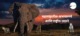 Maharashtatil Sanctuaries And rashtriya Udyane